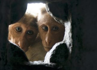 Tips to ‘make’ socially relevant photographs